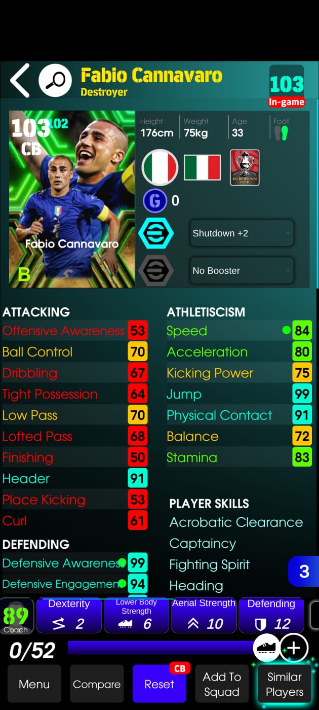 Fabio Cannavaro