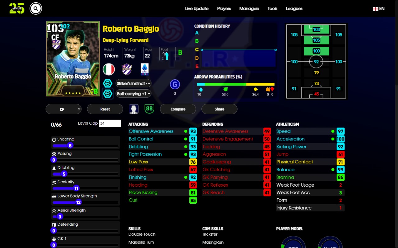 Roberto Baggio