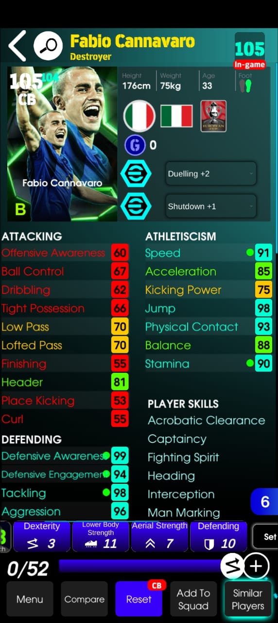 Fabio Cannavaro