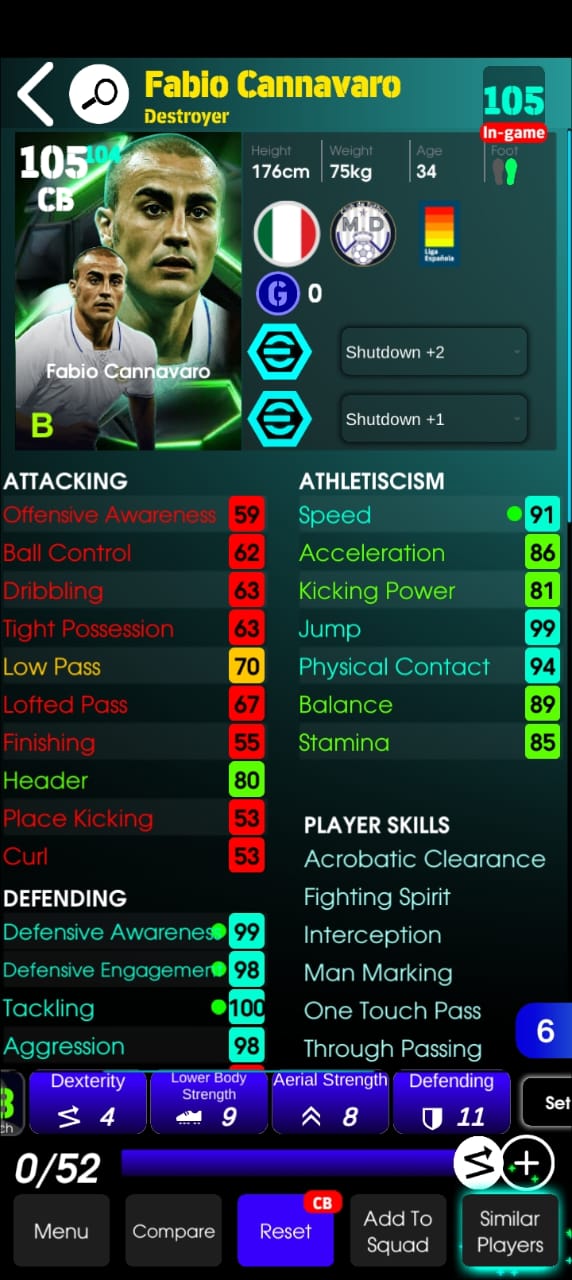 Fabio Cannavaro