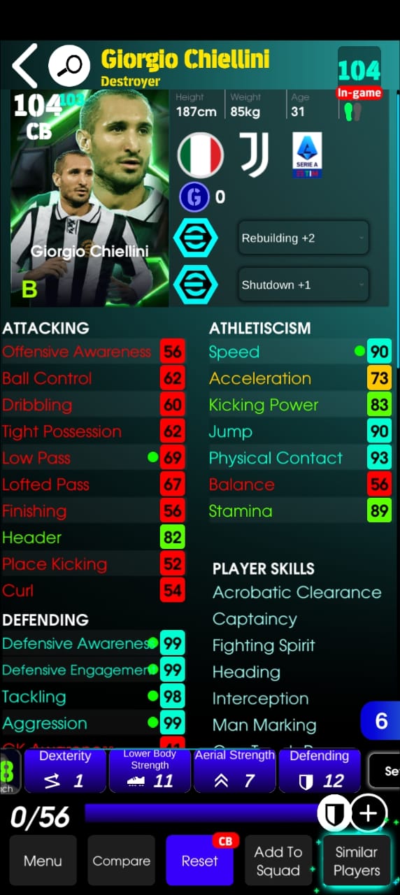 Giorgio Chiellini