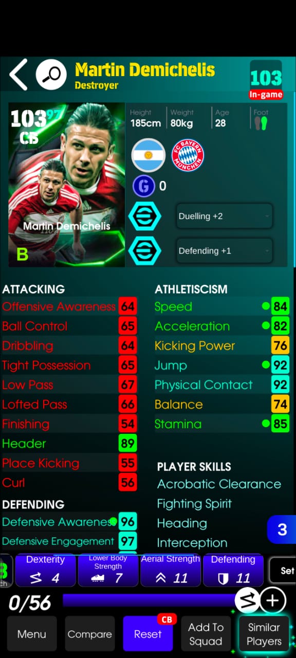 Martin Demichelis